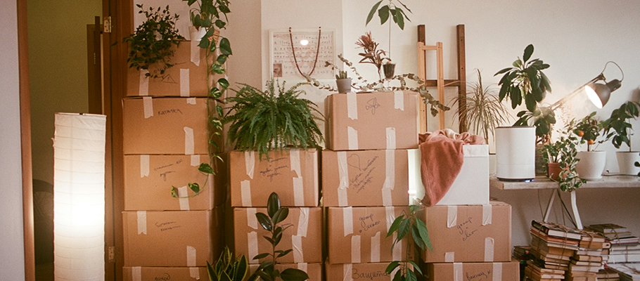 Top 6 Essential Items for Moving into Your Self Storage Unit Today!